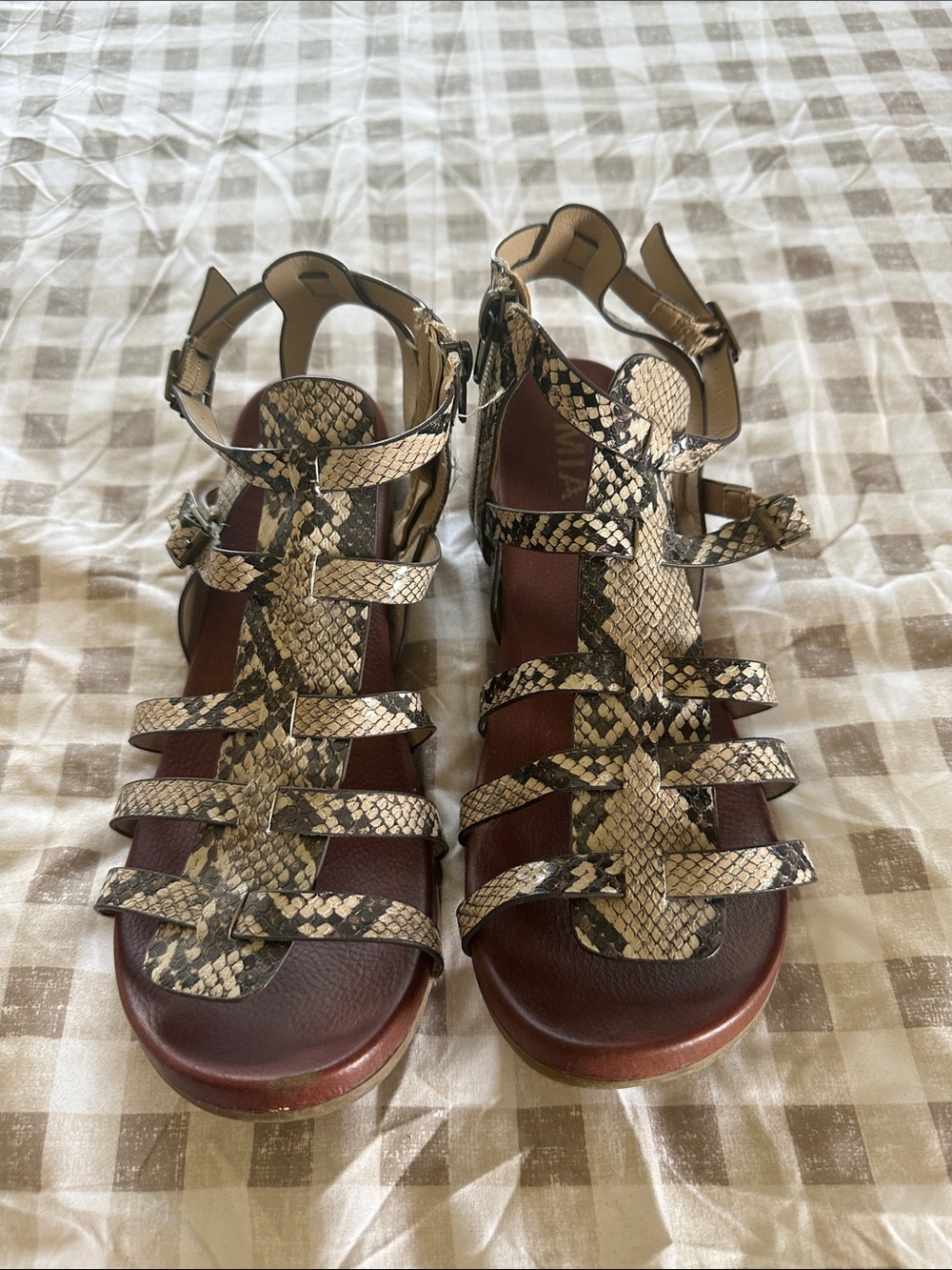 MIA Snake-Print Strappy Gladiator Sandals in Cream and Black